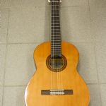 863 9820 GUITAR